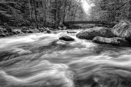 Flow Of The Creek by Andy Amos art print