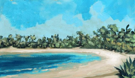 Beach Shore by Dan Meneely art print