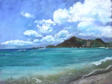 Caribbean Splendor by Robin Maria art print