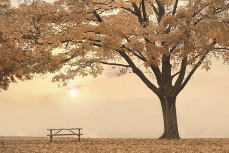 Perfect Picnic Spot by Lori Deiter art print