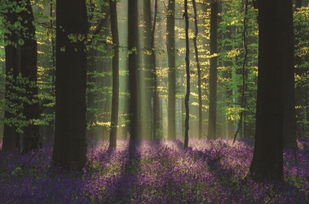 Perfect Spring Scene by Martin Podt art print