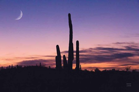 Desert Moons by Nathan Larson art print