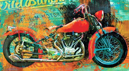 Hardtail Tangerine by Porter Hastings art print