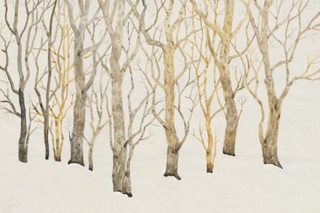 Bare Trees I by Timothy O&#39;Toole art print