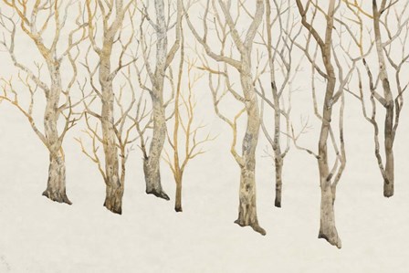 Bare Trees II by Timothy O&#39;Toole art print