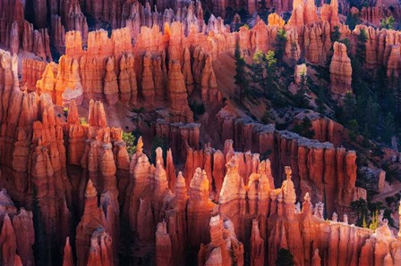 Bryce Canyon at Sunset by Austin art print