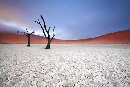 Mist over Deadvlei by Ben McRae art print