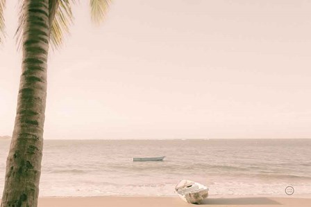 Dominican Fishing Boats by Nathan Larson art print