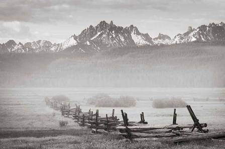 Stanley Basin Fence and Fog by Alan Majchrowicz art print