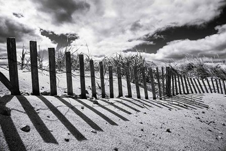 Nantucket Shadows by Aledanda art print