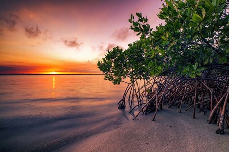 Sunset Over the St. Lucie River by Andy Crawford Photography art print