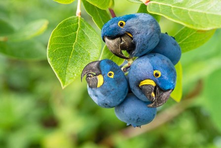 Parrotberries by Pixelmated Animals art print