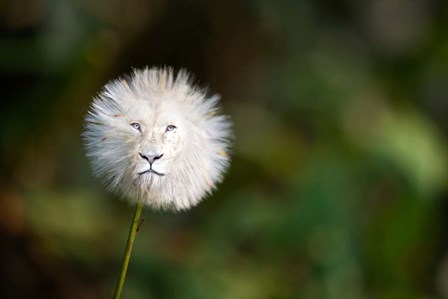 Dandelion by Pixelmated Animals art print