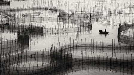 Waiting For The Catch by Ahmed Abdulazim art print