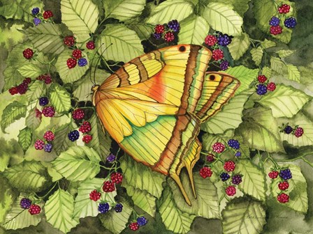 Bountiful Butterfly by Kathleen Parr McKenna art print