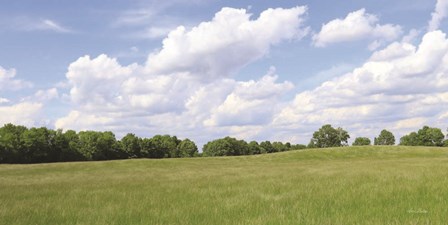 Summer Fields by Lori Deiter art print