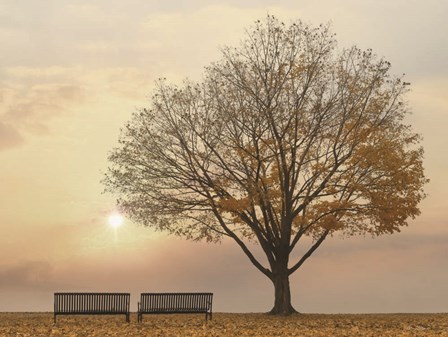 Golden Riverfront Sunrise by Lori Deiter art print