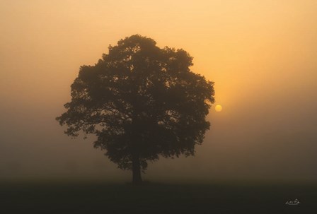 Solitary Oak by Martin Podt art print