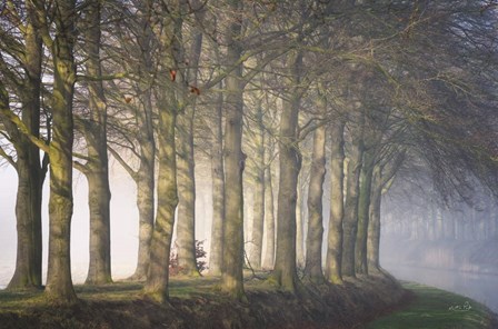 Standing Together by Martin Podt art print