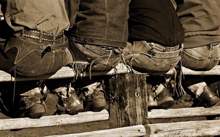 Wranglers by Lisa Dearing art print