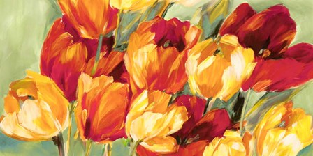 Field of Tulips by Jim Stone art print