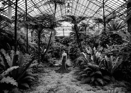 Unconventional Womenscape #2, Jardin d&#39;Hiver (BW) by Julian Lauren art print