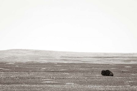 Badlands Guard by Nathan Larson art print