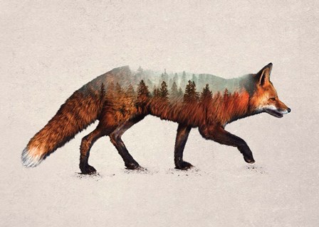 The Red Fox by Davies Babies art print