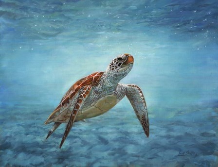 Sea Turtle by David Stribbling art print