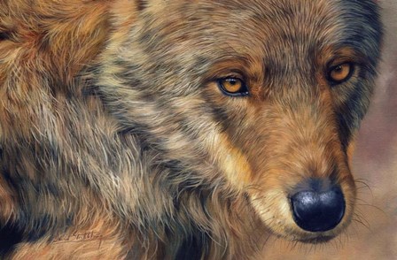 Wolf Portrait by David Stribbling art print
