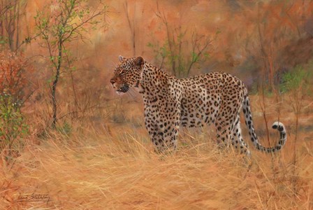 Leopard In The African Bush 2 by David Stribbling art print