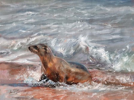 Sealion by David Stribbling art print