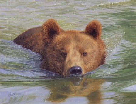 Brown Bear In Water by David Stribbling art print