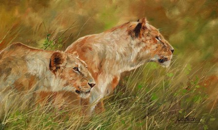 Lion Brothers 2 by David Stribbling art print