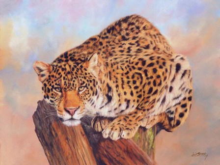 Jaguar On Tree Stump by David Stribbling art print