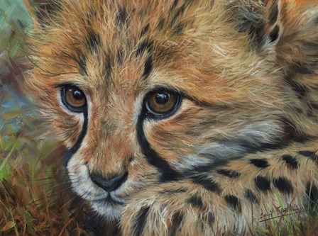 Cheetah Cub Close by David Stribbling art print