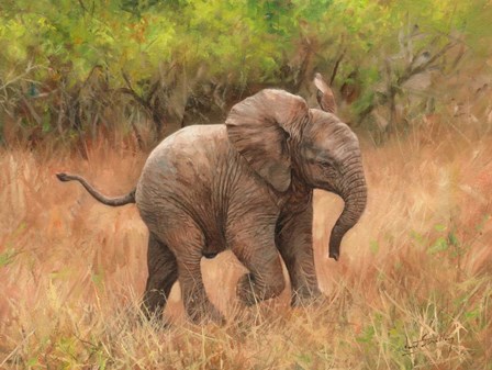 Baby African Elephant by David Stribbling art print