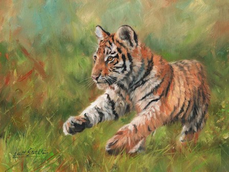 Tiger Cub Running by David Stribbling art print