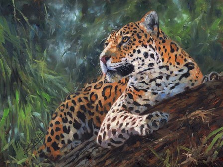 Jaguar In Tree by David Stribbling art print