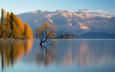 Wanaka by Lincoln Harrison art print