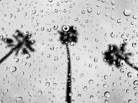Rainy Daze by Jeff Poe Photography art print