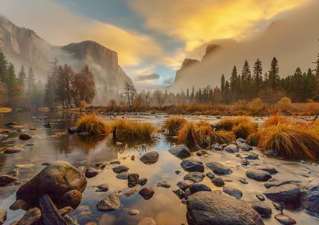 Yosemite Park by Jeff Poe Photography art print