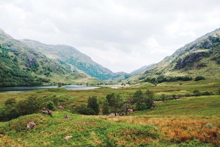 Highland Mountains by Laura Marshall art print