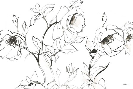 Sketch of Roses by Shirley Novak art print