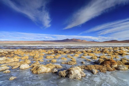 Panoramic View Of the Salar De Tara in Chile by Giulio Ercolani/Stocktrek Images art print