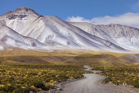 Panoramic View Of the Lascar Volcano Complex in Chile by Giulio Ercolani/Stocktrek Images art print