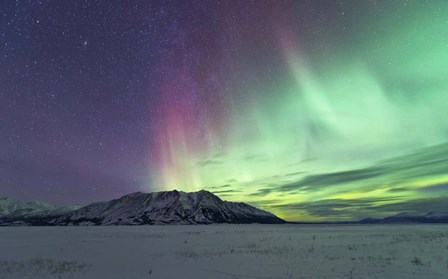 Northern Lights Over Kluane Lake, Yukon, Canada by Jonathan Tucker/Stocktrek Images art print