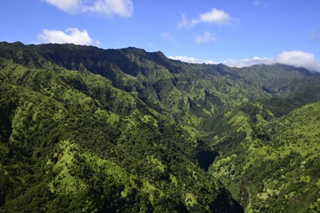 Aerial View Of Koloa, Hawaii by Ryan Rossotto/Stocktrek Images art print