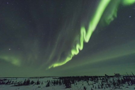 An Auroral Curtain Over Churchill, Manitoba by Alan Dyer/Stocktrek Images art print