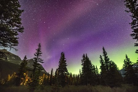 The Unusual STEVE Auroral Arc Across the Northern Sky at Bow LakeAlberta by Alan Dyer/Stocktrek Images art print
